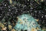 Deep-Green Libethenite Crystal Cluster - Congo-Brazzaville #302227-1